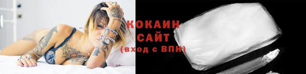 твердый Белокуриха