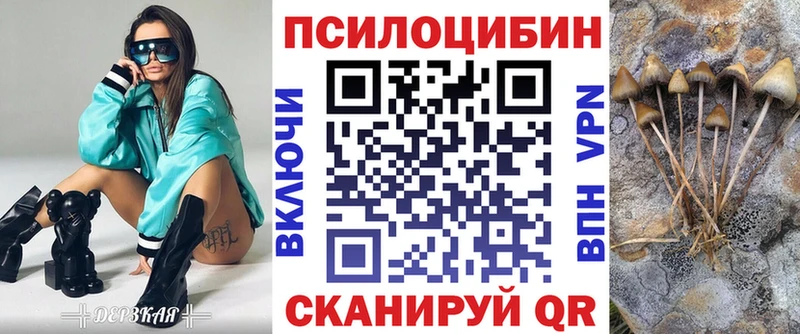 Галлюциногенные грибы Psilocybine cubensis  наркотики  mega как зайти  Салаир 